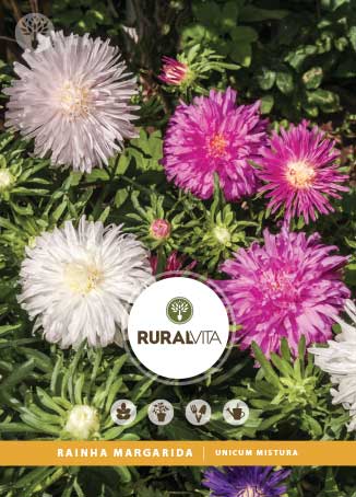 RURAL VITA - Semente Rainha Margarida Unicum Mistura