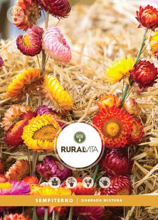 RURAL VITA - Semente Sempiterno Dobrado Mistura