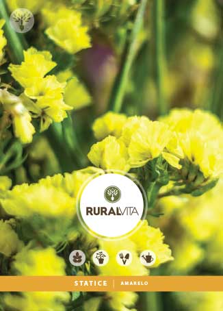 RURAL VITA - Semente Statice Amarelo