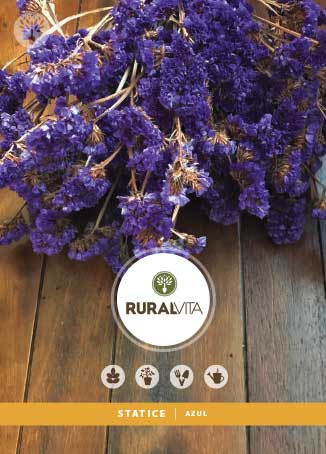 RURAL VITA - Semente Statice Azul