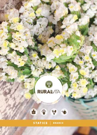 RURAL VITA - Semente Statice Branco