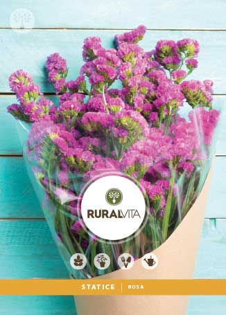 RURAL VITA - Semente Statice Rosa