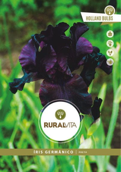 RURAL VITA - Semente Iris Germânico Preto