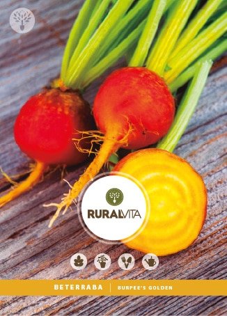 RURAL VITA - Semente Beterraba Burpee'S Golden