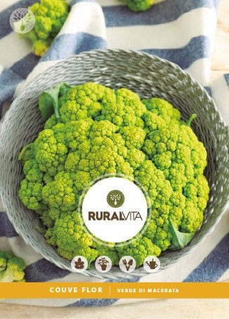 RURAL VITA - Semente Couve Flor Verde Di Macerata