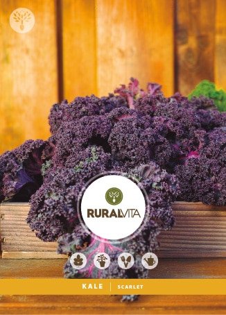 RURAL VITA - Semente Kale Scarlet