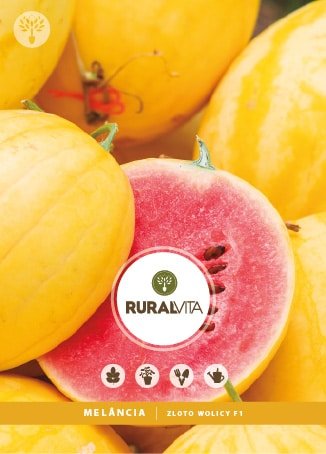 RURAL VITA - Semente Melancia Zloto Wolicy F1