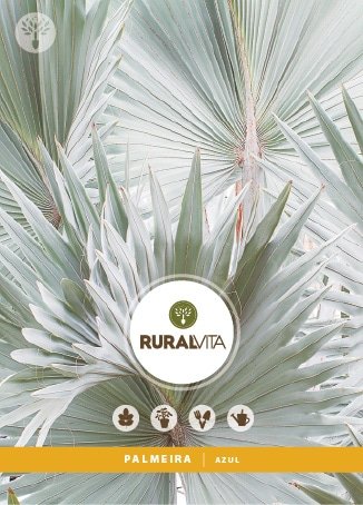 RURAL VITA - Semente Palmeira Azul