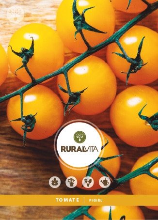 RURAL VITA - Semente Tomate Figiel