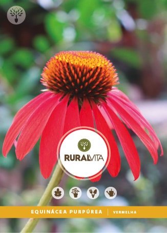 RURAL VITA - Semente Equinácea Purpúrea Vermelha
