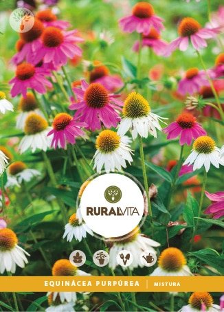 RURAL VITA - Semente Equinácea Purpúrea Mistura