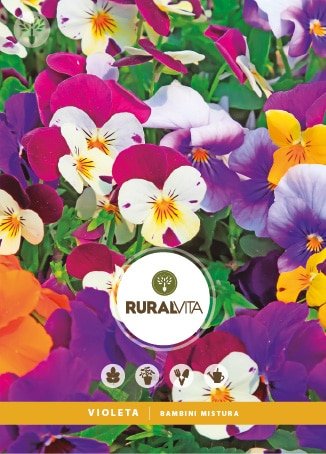 RURAL VITA - Semente Violeta Bambini Mistura