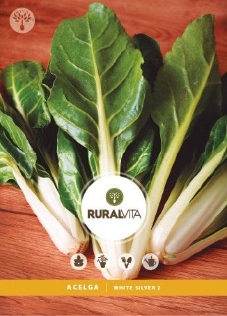RURAL VITA - Semente Acelga White Silver