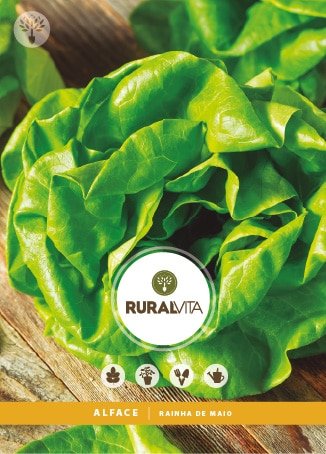 RURAL VITA - Semente Alface Rainha de Maio
