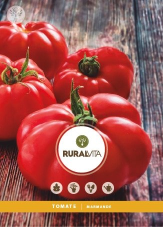RURAL VITA - Semente Tomate Marmande