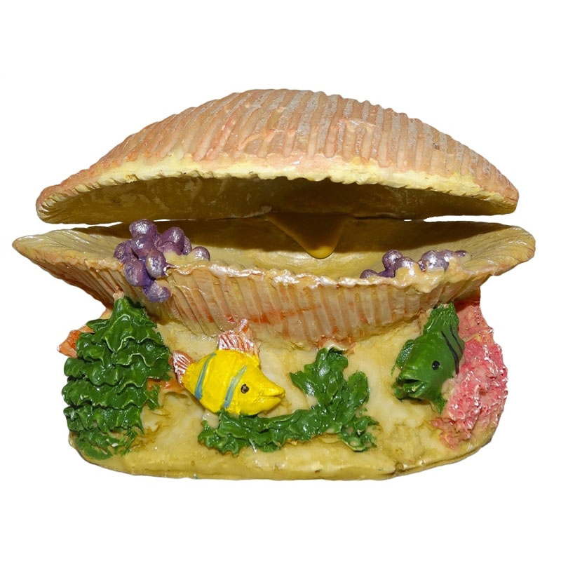 Decoração Amêijoa