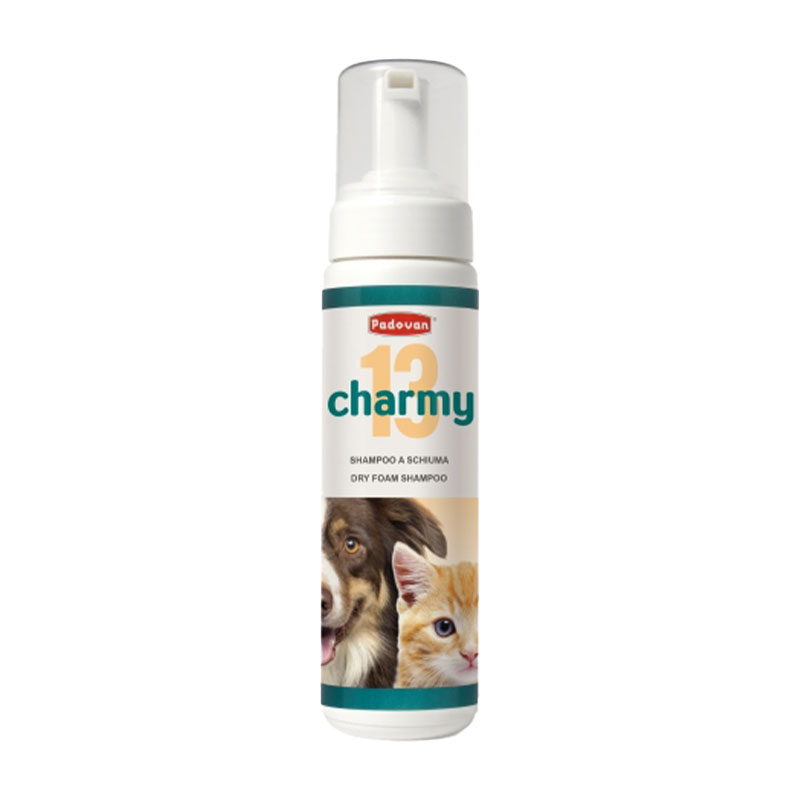 Champô Espuma Limpeza a Seco 250ml