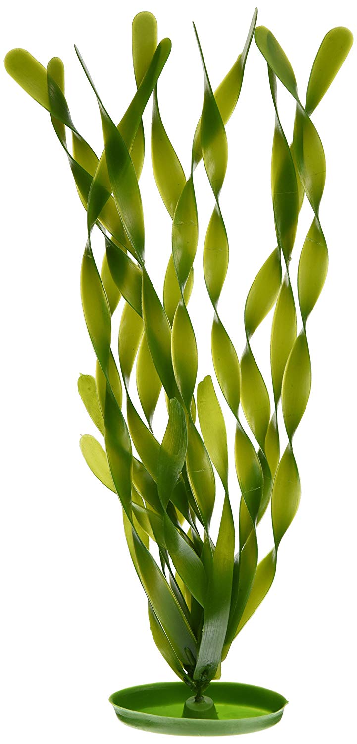 Planta 20CM Jungle Vallisneria