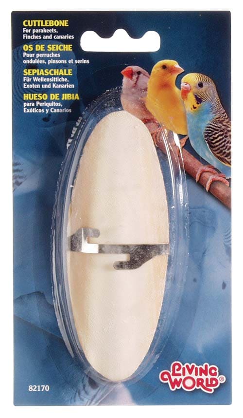 Osso Choco com Suporte em Blister
