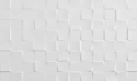 ECOCERAMIC - Rlv Albo Branco 33.3X55 1.84M2