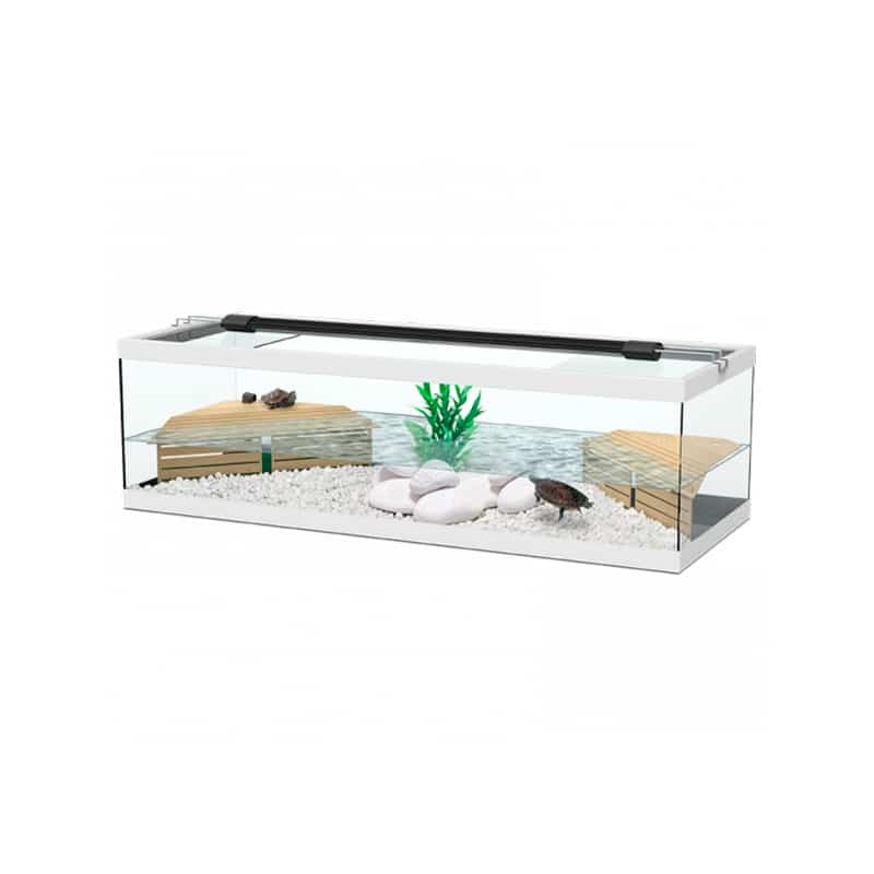 AQUATLANTIS - Tortum 104X40X30 Eqp Cor025