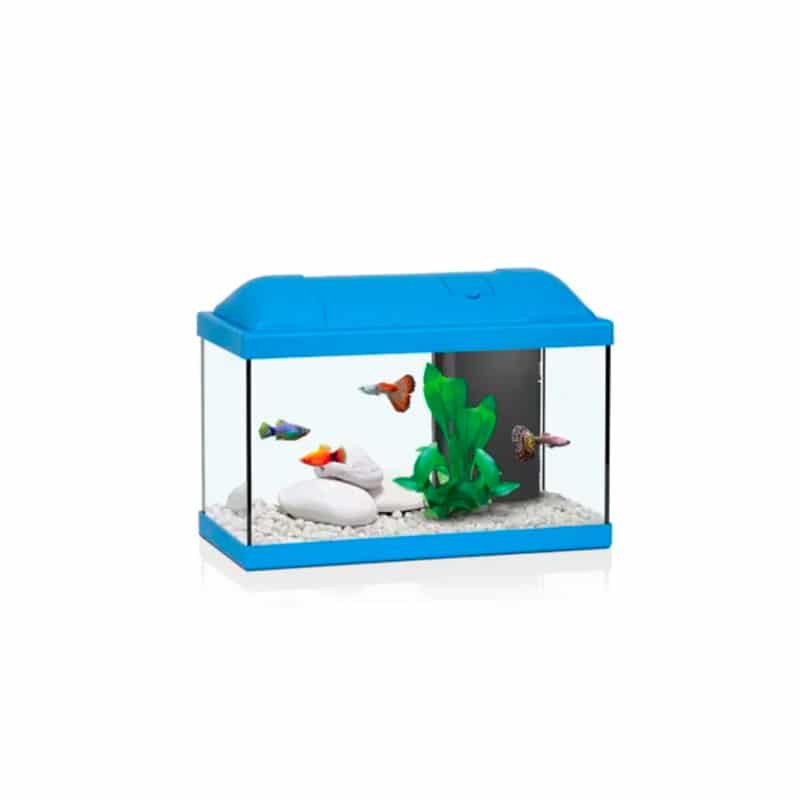 AQUATLANTIS - Aquário Biofun Cor077 Led Eqp Mini Biobox