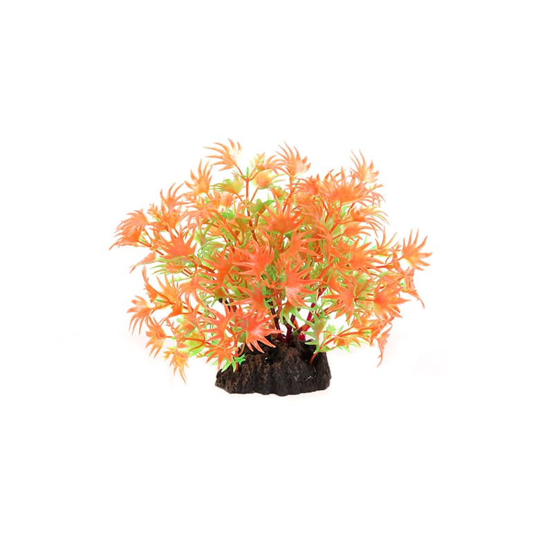 AQUATLANTIS - Ad Planta Arbusto Laranja