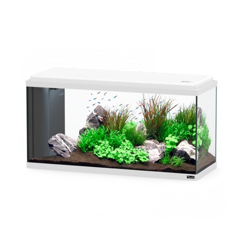 AQUATLANTIS - Aquário Led Bio 80 Cor025 Eqp
