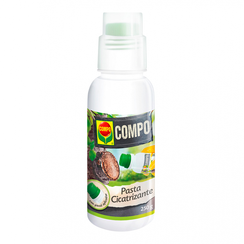 COMPO - Pasta Cicatrizante 250 g