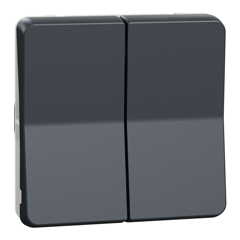 SCHNEIDER - Comutador Mureva Duplo Cinzento