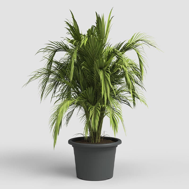ARTEVASI - Vaso Venezia Cilindro 20CM Antracite