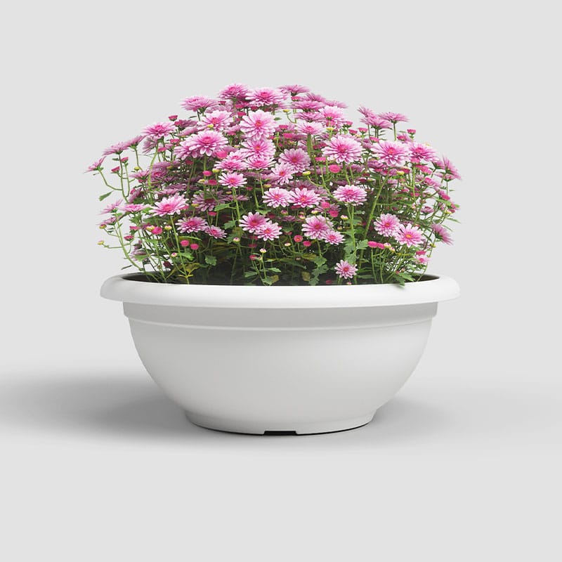 ARTEVASI - Taça Venezia 40CM Branco