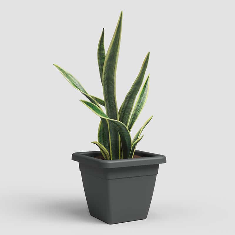 ARTEVASI - Vaso Venezia Quadrado 30CM Antracite