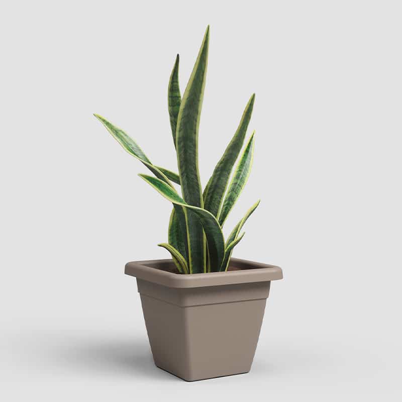 ARTEVASI - Vaso Venezia Quadrado 30CM Tortora