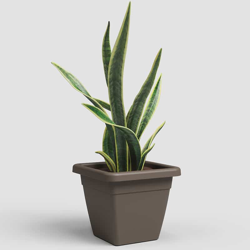 ARTEVASI - Vaso Venezia Quadrado 30CM Bronze