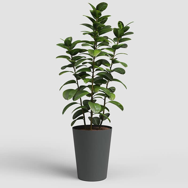 ARTEVASI - Vaso Porto Alto 40CM Antracite