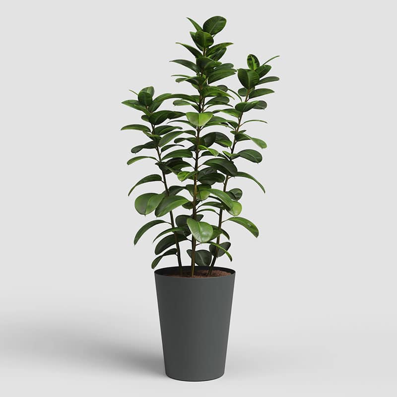 ARTEVASI - Vaso Porto Alto 80CM Antracite