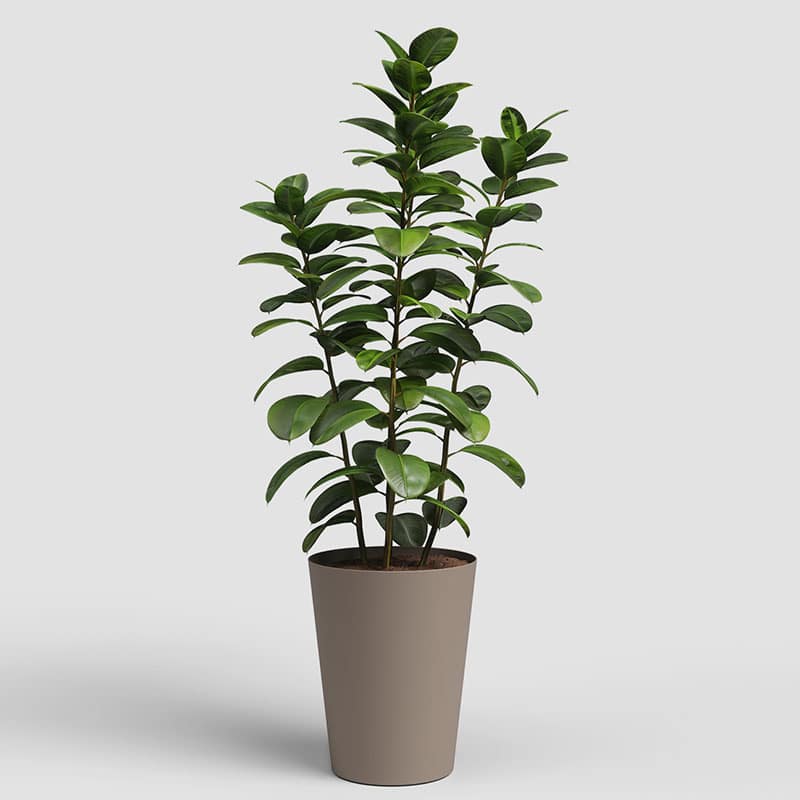 ARTEVASI - Vaso Porto Alto 50CM Tortora