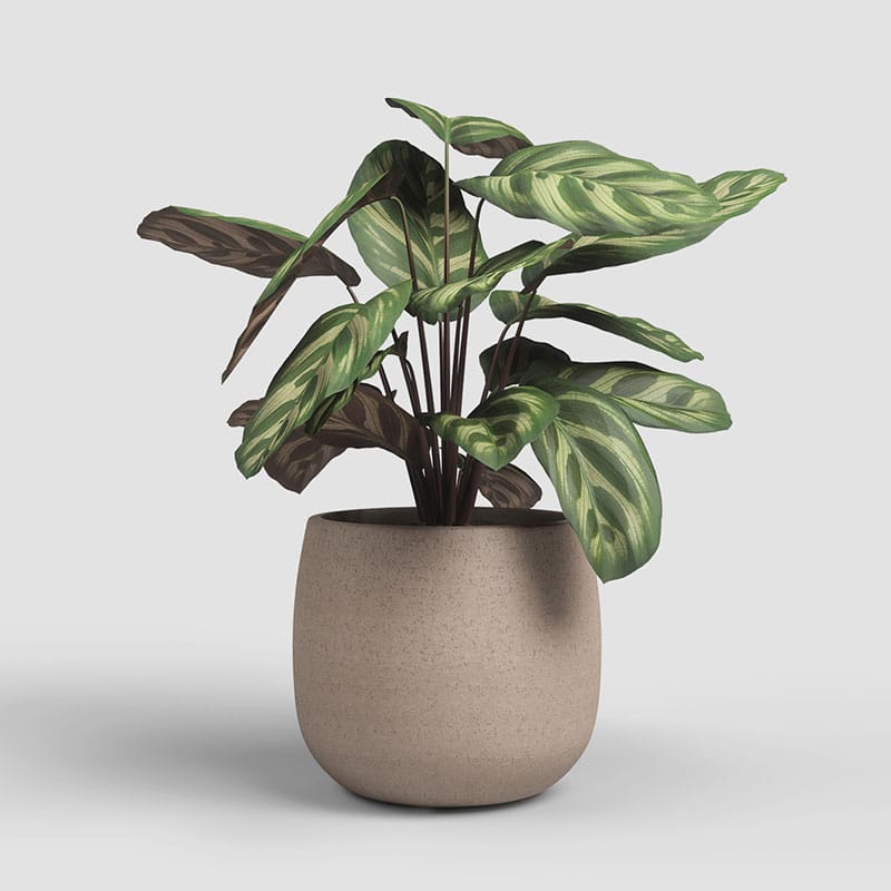 ARTEVASI - Vaso Hemera 20CM Tortora