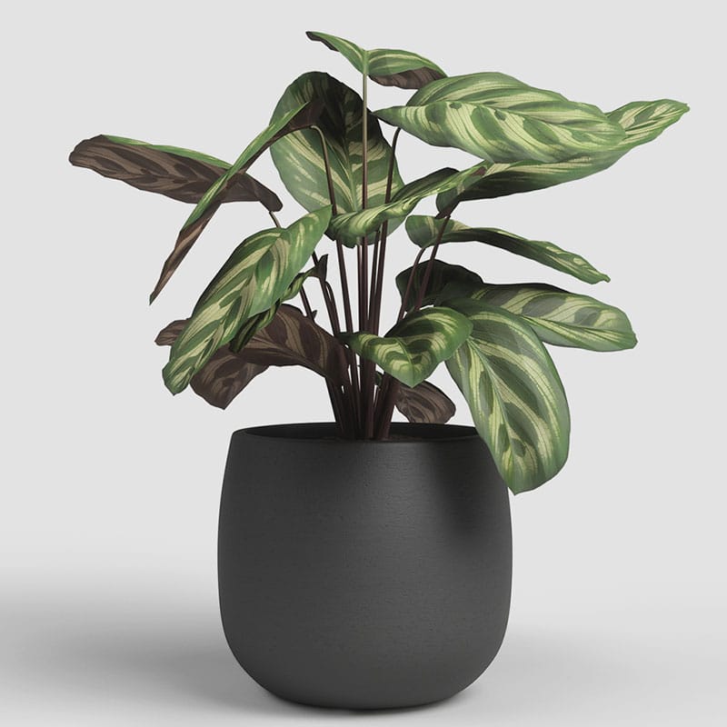 ARTEVASI - Vaso Hemera 20CM Antracite