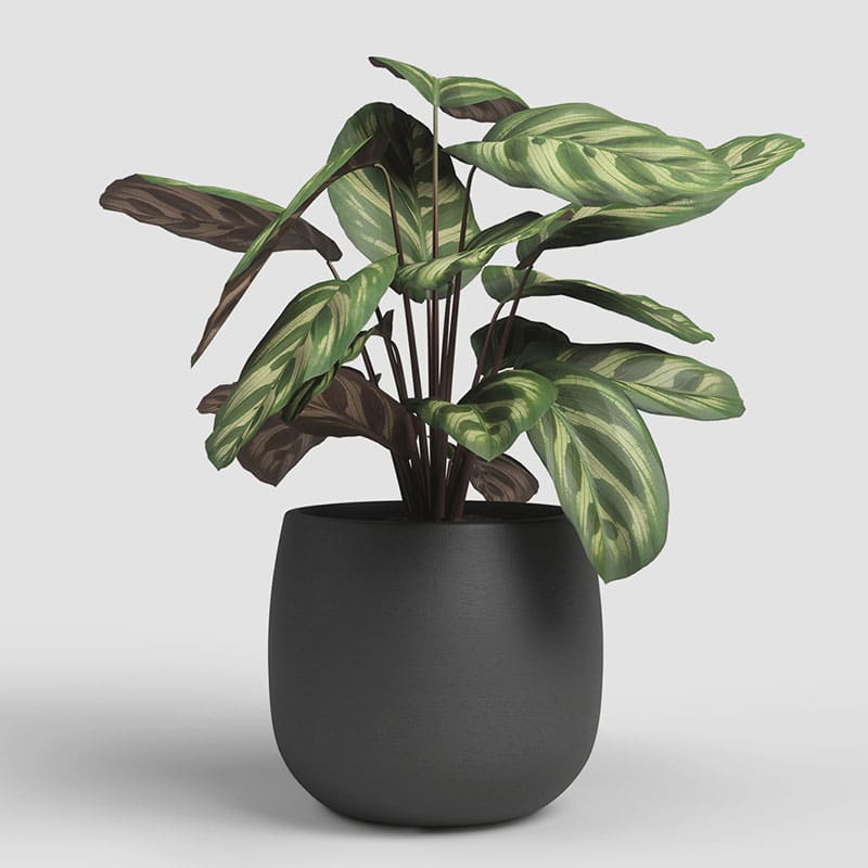 ARTEVASI - Vaso Hemera 29CM Antracite
