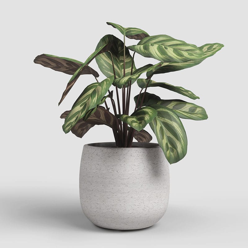 ARTEVASI - Vaso Hemera 20CM Creme