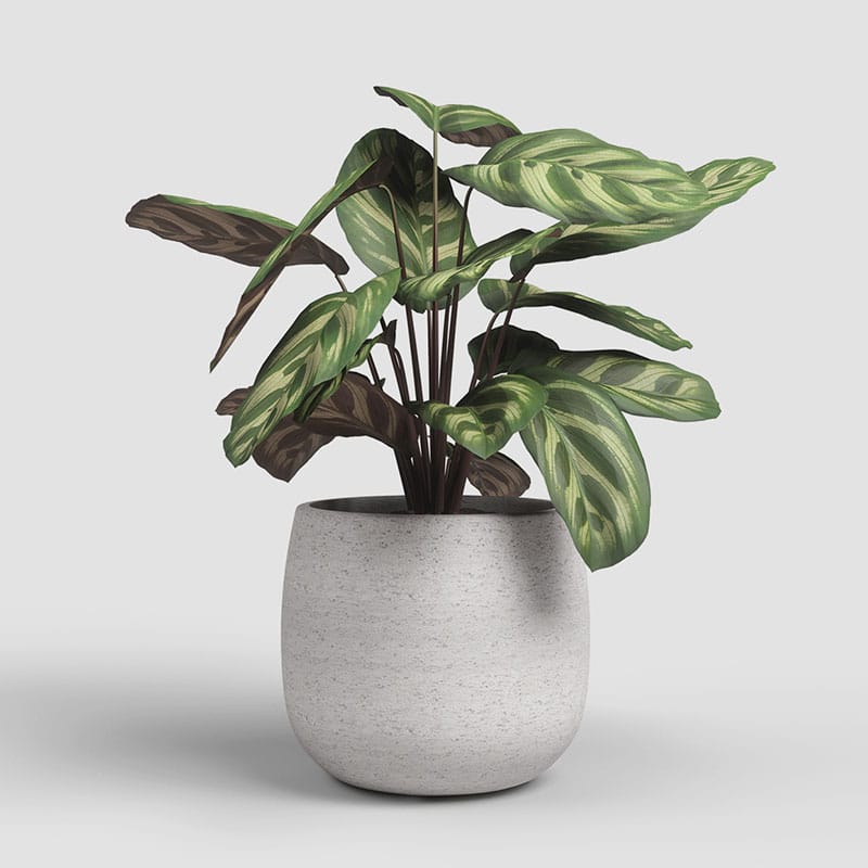 ARTEVASI - Vaso Hemera 29CM Creme