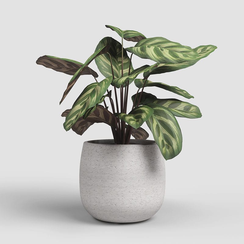 ARTEVASI - Vaso Hemera 39CM Creme