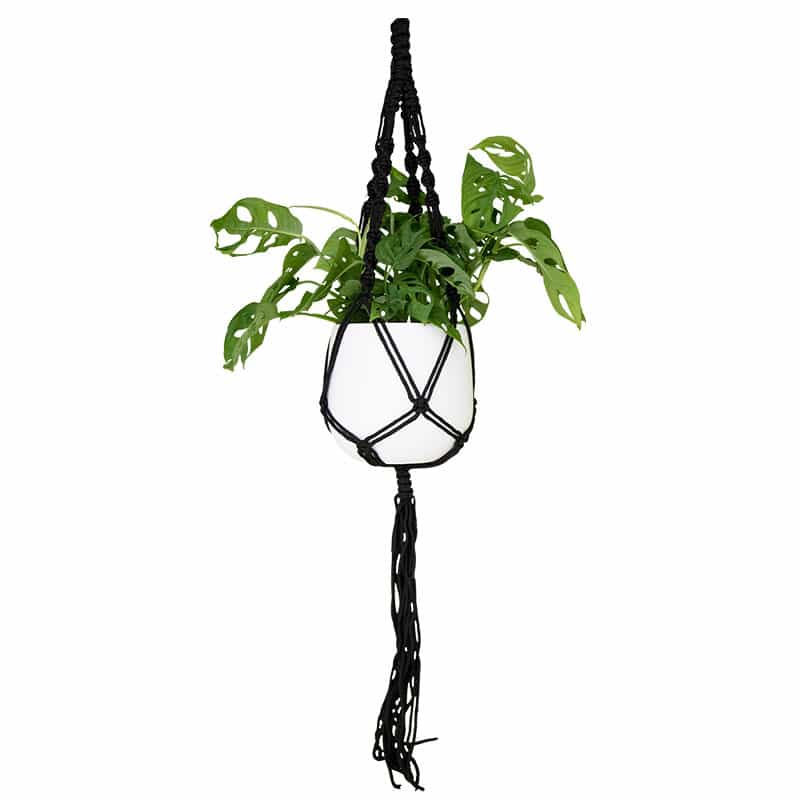 ARTEVASI - Macramé Simples Nó Espiral Preto 100CM
