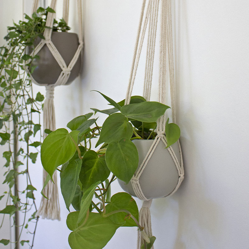 ARTEVASI - Macramé Parede Branco 100CM