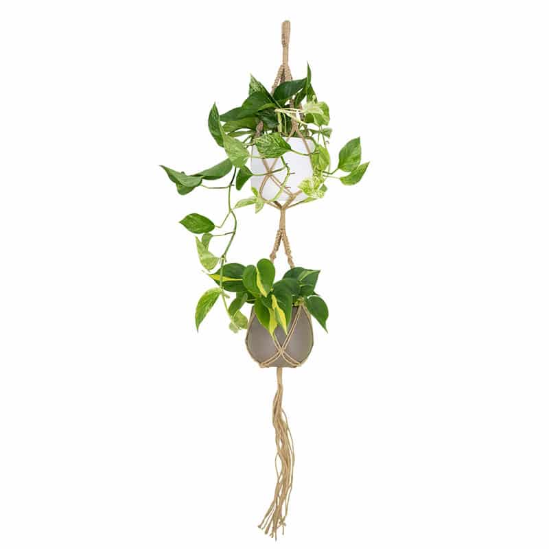 ARTEVASI - Macramé Duplo Nó Quadrado Natural 120CM