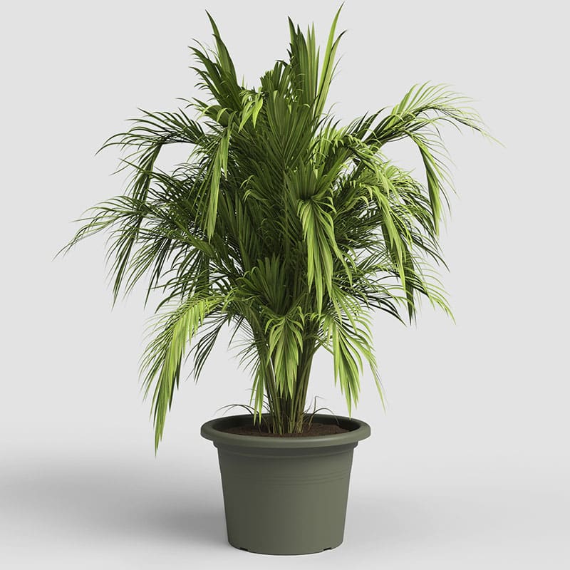 ARTEVASI - Vaso Venezia Cilindro 30CM Verde Seco