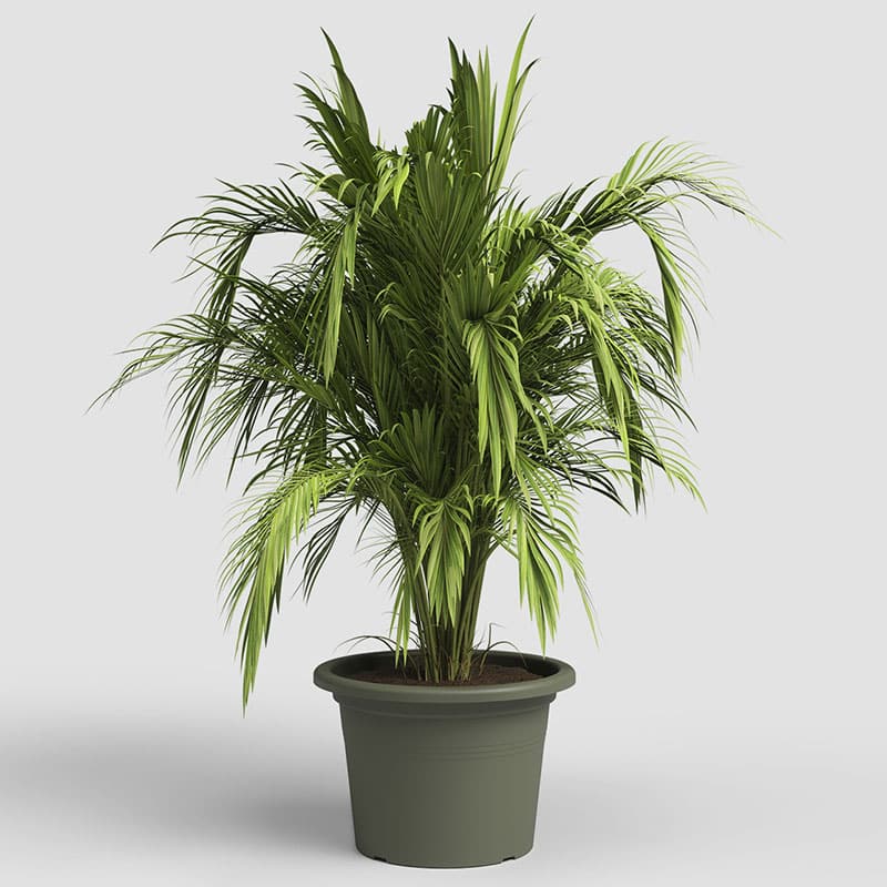 ARTEVASI - Vaso Venezia Cilindro 70CM Verde Seco