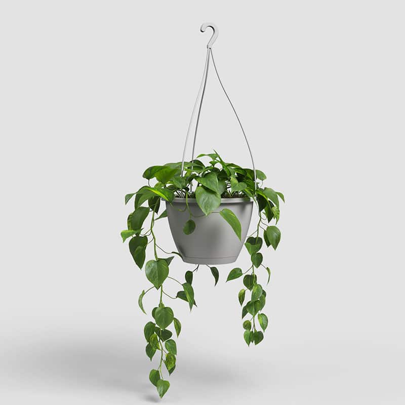 ARTEVASI - Vaso Algarve Suspensão 25CM Cinza Claro